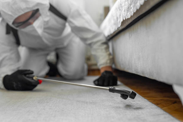 Professional Ant Control technician working in Lake Como, NJ
